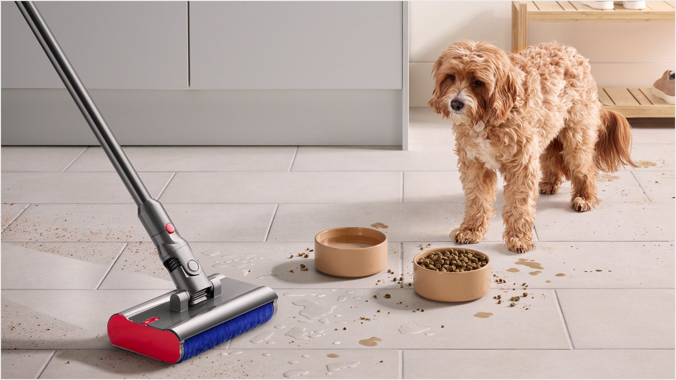 V12 Detect Slim Fluffy SV20FFN [サイクロン式 /コードレス] Dyson｜ダイソン 通販 | ビックカメラ.com
